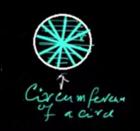 circumference of a circle